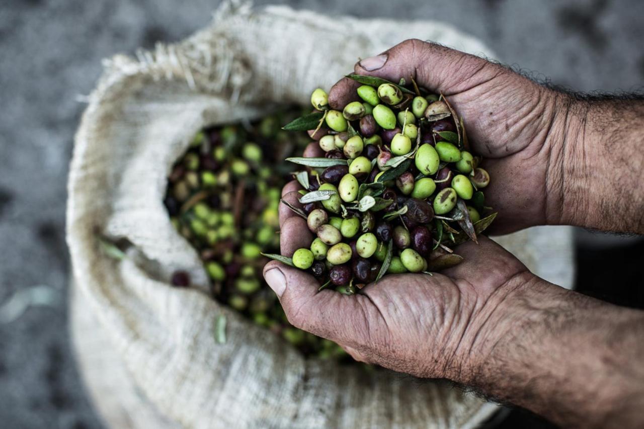 فندق Ekati Mare Kávos المظهر الخارجي الصورة
